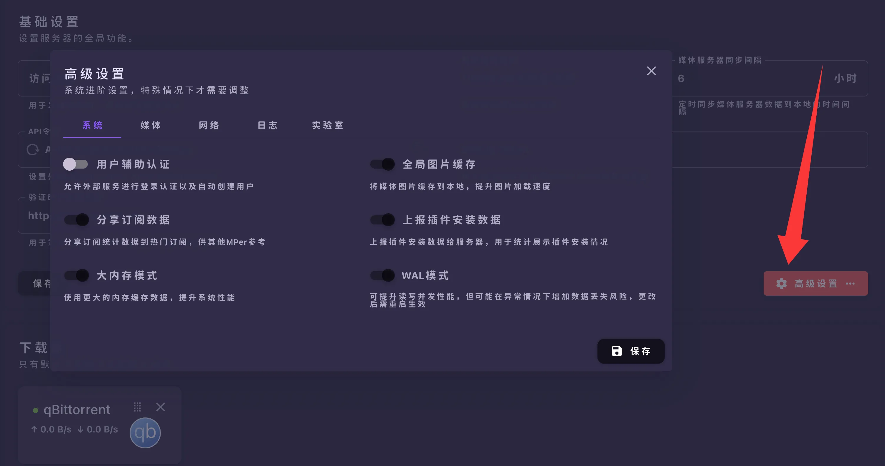 高级设置界面截图，显示各种选项和开关。
